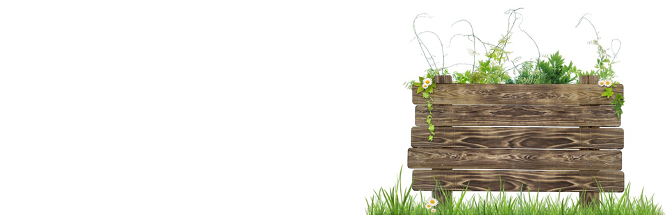 上野 友太郎のポイント