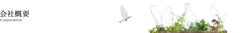 会社概要